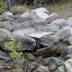 Taustan kivien yläpinta on muutaman sentin alempana kuin reunakivien huiput.